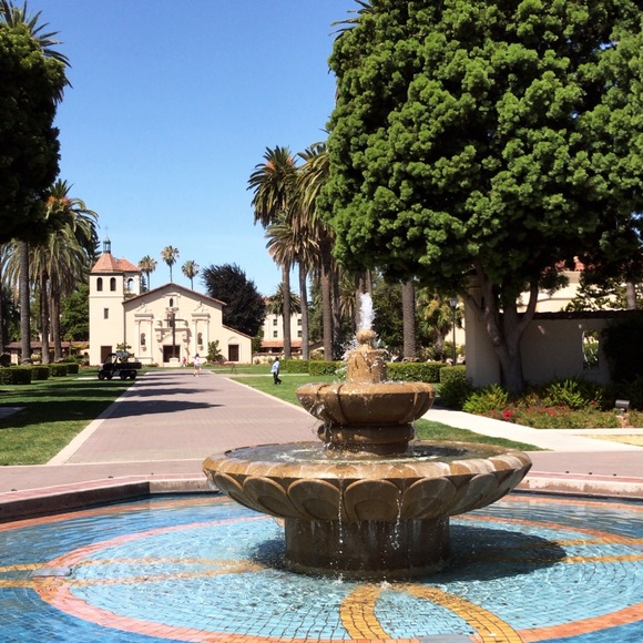 Meet your Posher, Mika - Picture 1 of 1